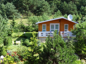 Lesny domek in Misdroy